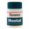 support-acs24-7-Mentat